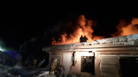 Больше 40 тысяч кур погибло при пожаре на птицефабрике в Татарстане