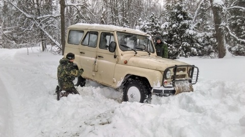В Новосибирске осудят банду за кражу автомобилей на 8 миллионов рублей
