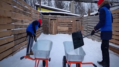 Приюту бездомных животных помогли красноярские школьники