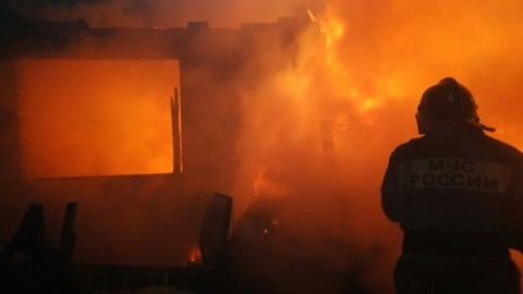 В Омской области во время пожара погибли многодетная мать и двое детей