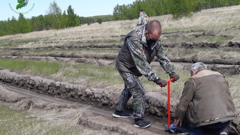 В Омской области вырастут новые Сады памяти