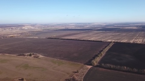 В Воронежской области досрочно введут особый противопожарный режим