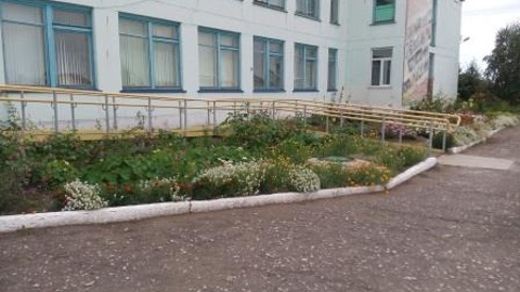 В Минобре отрицают применение силовых методов воспитания в омской школе