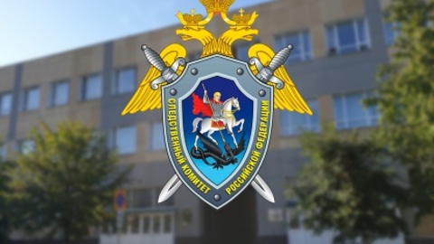 Директор ульяновской фирмы построил для детей-сирот "карточный дом"