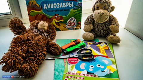 В Томске родители детей-инвалидов смогут воспользоваться "Мэри Поппинс"