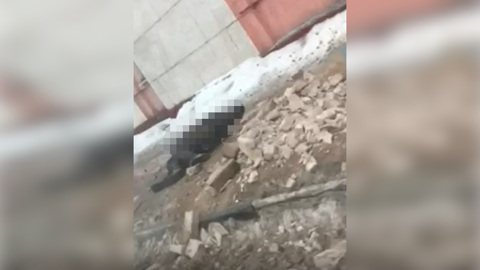 В Иванове обрушившаяся стена убила девушку