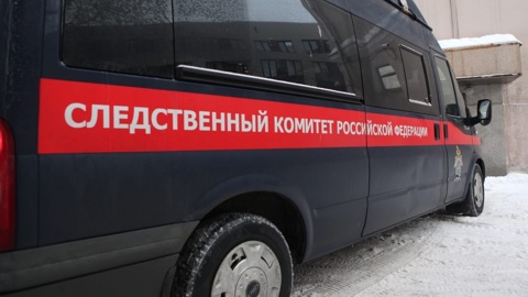 Мертвый ребенок найден в лесу под Петербургом