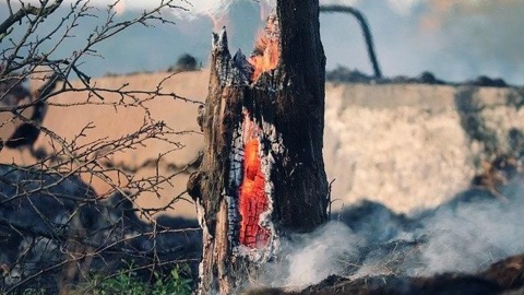 В Бурятии зарегистрирован первый лесной пожар