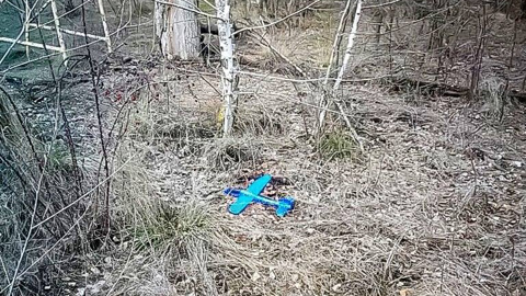 Украинские военные поведали историю о "невинной игрушке" и "кошке"