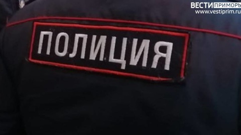 Воспитатель частного детсада в Артеме применила силу к 2-летнему ребенку
