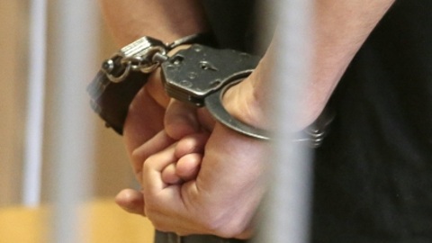 В Костромской области взят под стражу серийный педофил