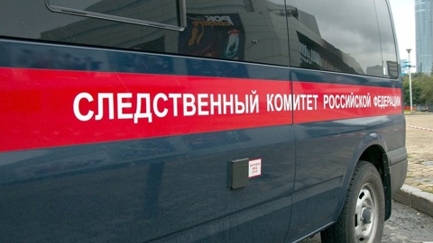 СК возбудил уголовное дело по факту смерти школьницы в Рубцовске