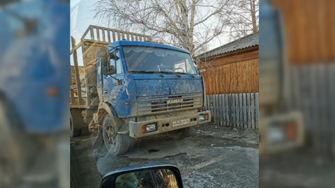 Браконьер застрелил домашнего лося в Красноярском крае