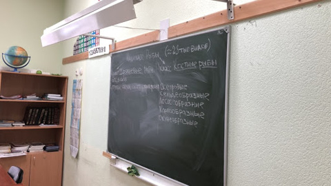 Оренбургский подросток попал в больницу после столкновения со школьной доской
