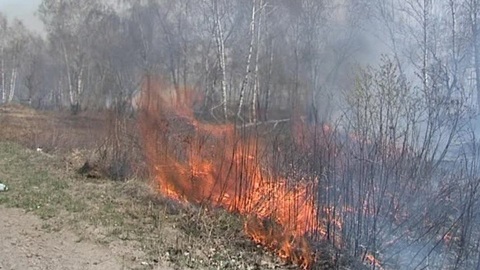 Пенсионерка заживо сгорела во время пала травы на своем участке
