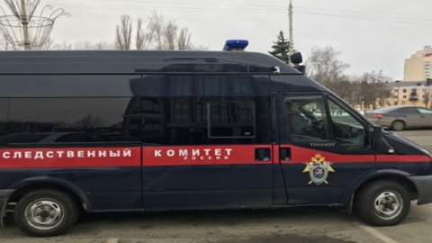 Подруга сняла изнасилование школьницы: преступник арестован