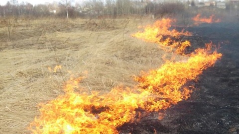 Во Владимире задержаны поджигавшие сухую траву школьники