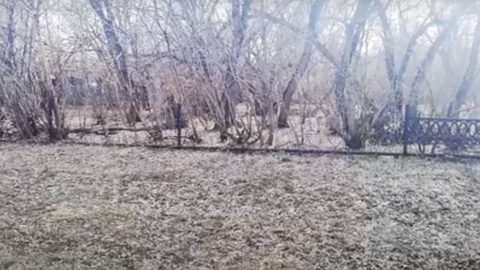В Оренбургской области воры разобрали чугунное ограждение школы