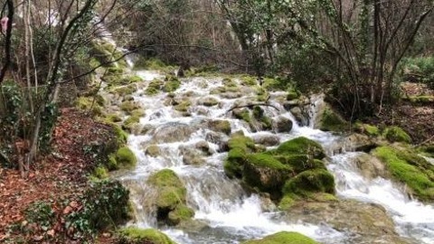Воду из водопадов Ялты перебросят в водохранилища