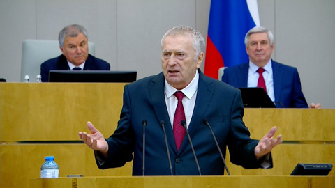 Жириновский обвинил немцев в "животном сексизме"