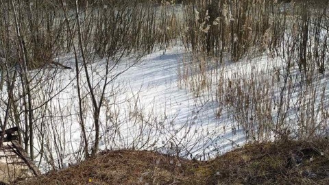 Виновные в загрязнении водоема под Ярославлем будут оштрафованы