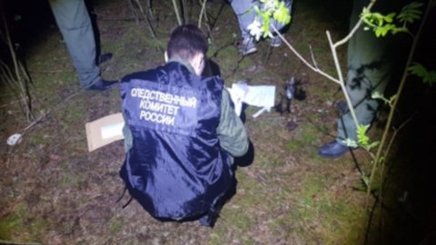Тело 12-летней девочки обнаружено в лесополосе под Нижним Новгородом