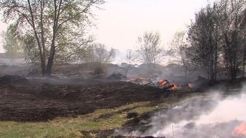 Более полутора тысяч человек тушат пожары в Тюменской области