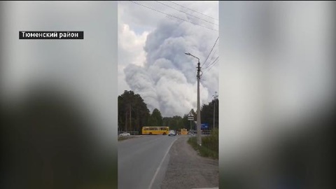 В Тюмени эвакуировали несколько учреждений из-за лесных пожаров