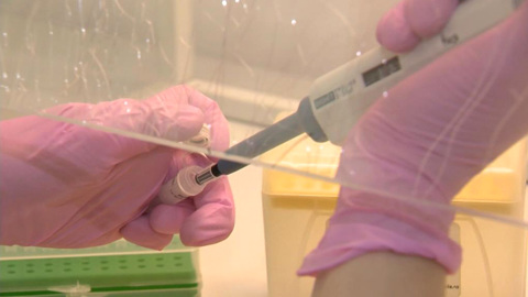 Вести. Более 17 тысяч доз вакцины от клещевого энцефалита поступило в ЕАО