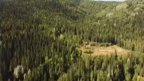 В Красноярске может появиться климатический научно-образовательный центр