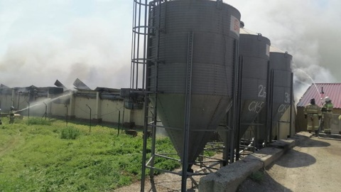 На Дону полностью потушен пожар на свиноводческом предприятии