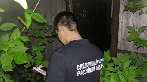 Пробиравшегося в гараж ребенка убило рухнувшей стеной