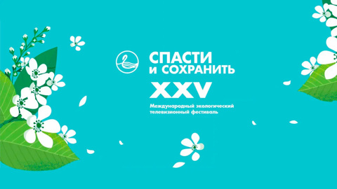 "Смотрим": первый день экофестиваля "Спасти и сохранить"