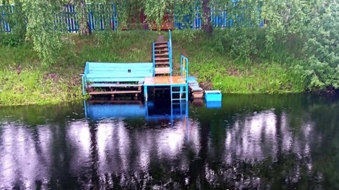 Игравший с собакой двухлетний ребенок остался без присмотра и утонул