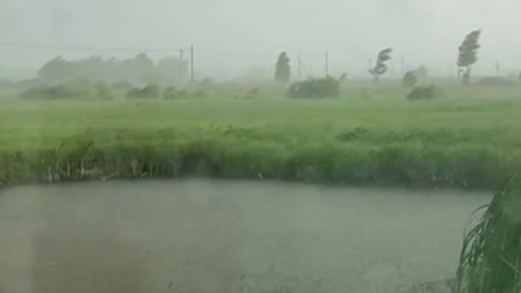 Центральную Россию ждет неделя грозовых ливней. Погода 24