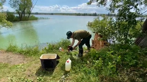 Экологи назвали возможные причины изменения цвета воды в Архиерейском озере