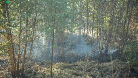 Первый крупный торфяной пожар зафиксировали под Вологдой