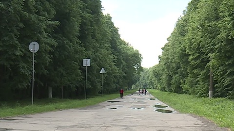 Рязанцы выбрали парки для благоустройства