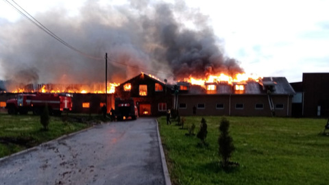 Под Нижним Новгородом тушат крупный пожар на конюшне