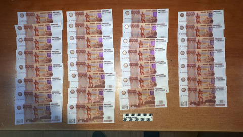 Уголовное дело амурского фальшивомонетчика направили в суд