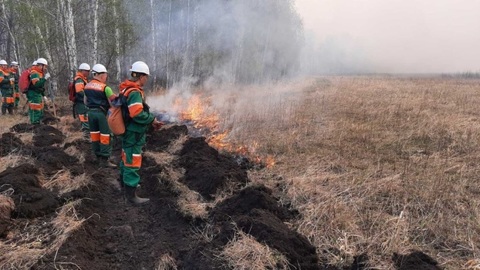 На Ямале спасателям удалось локализовать два лесных пожара