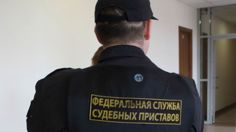 Житель Петербурга притворился собакой, прячась от приставов