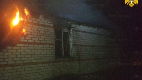 В Смоленской области собака спасла хозяев на пожаре