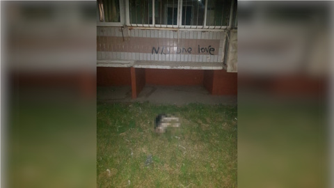 Житель Находки выкинул щенка с пятого этажа