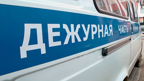 В Новосибирске поймали воров норковых шапок и телевизоров