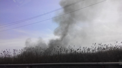 Жителей Дона предупреждают о чрезвычайной пожароопасности