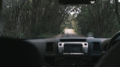 Остановка сердца из-за жары: воронежские инспекторы спасли водителя