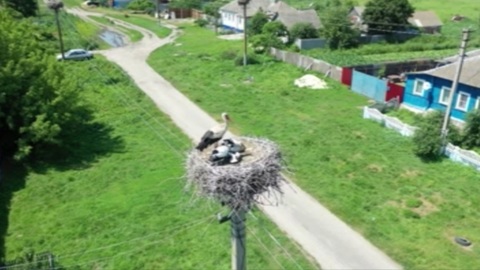 На развитие сельских территорий потратят 6 миллиардов рублей