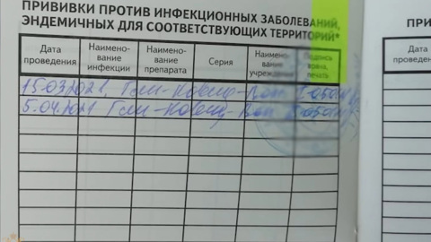 Сотрудники брянской больницы массово подделали данные о прививках