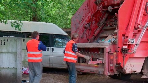 Вонь 24 на 7: калужане жалуются на гниющий из-за жары мусор